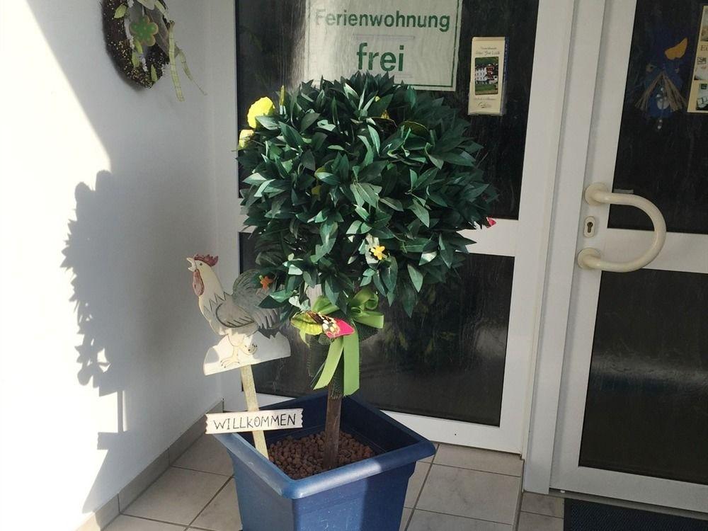 Ferienwohnungen Haus Zur Linde Кохем Екстериор снимка